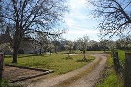 Le-terrain-de-pétanque-et-vue-sur-l'arriére-des-Gîtes-du-Holit