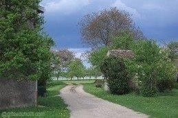 Chemin-de-champ-au-depart-de-Pannes