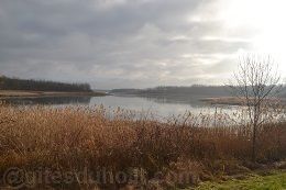 le-lac-de-Madine-en-hiver-en-Lorraine